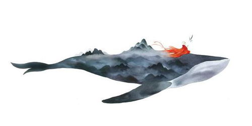 鹿菏是什么星座